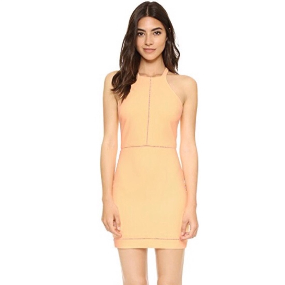 NWT Elizabeth and James Dress